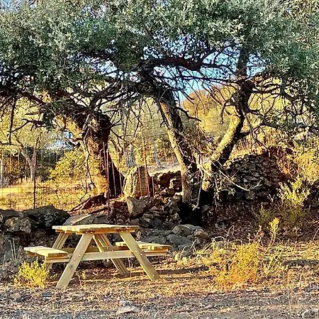 Country house La Mimosa